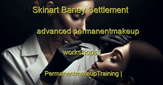 Skinart Baney Settlement advanced permanentmakeup workshops | PermanentmakeupTraining | PermanentmakeupClasses | SkinartTraining-United States